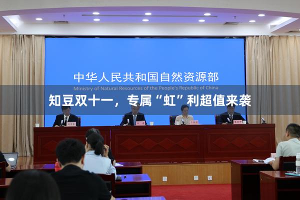 知豆双十一，专属“虹”利超值来袭