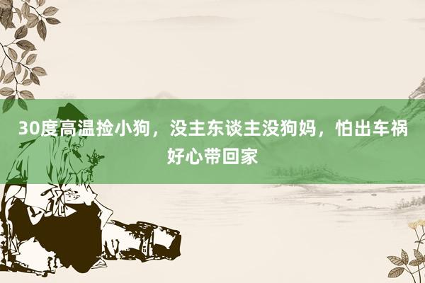 30度高温捡小狗，没主东谈主没狗妈，怕出车祸好心带回家