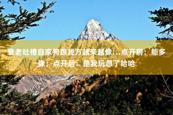 衰老吐槽自家狗跟我方越来越像…点开前：能多像；点开后：是我玩忽了哈哈