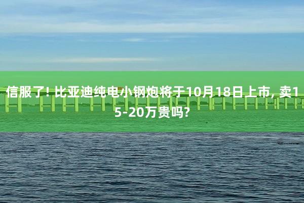 信服了! 比亚迪纯电小钢炮将于10月18日上市, 卖15-20万贵吗?